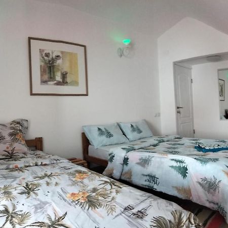 Doi Iepuri Apartamento Azuga Exterior foto