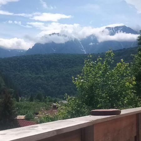 Doi Iepuri Apartamento Azuga Exterior foto