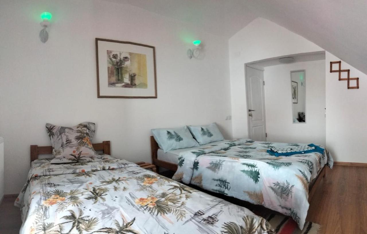 Doi Iepuri Apartamento Azuga Exterior foto