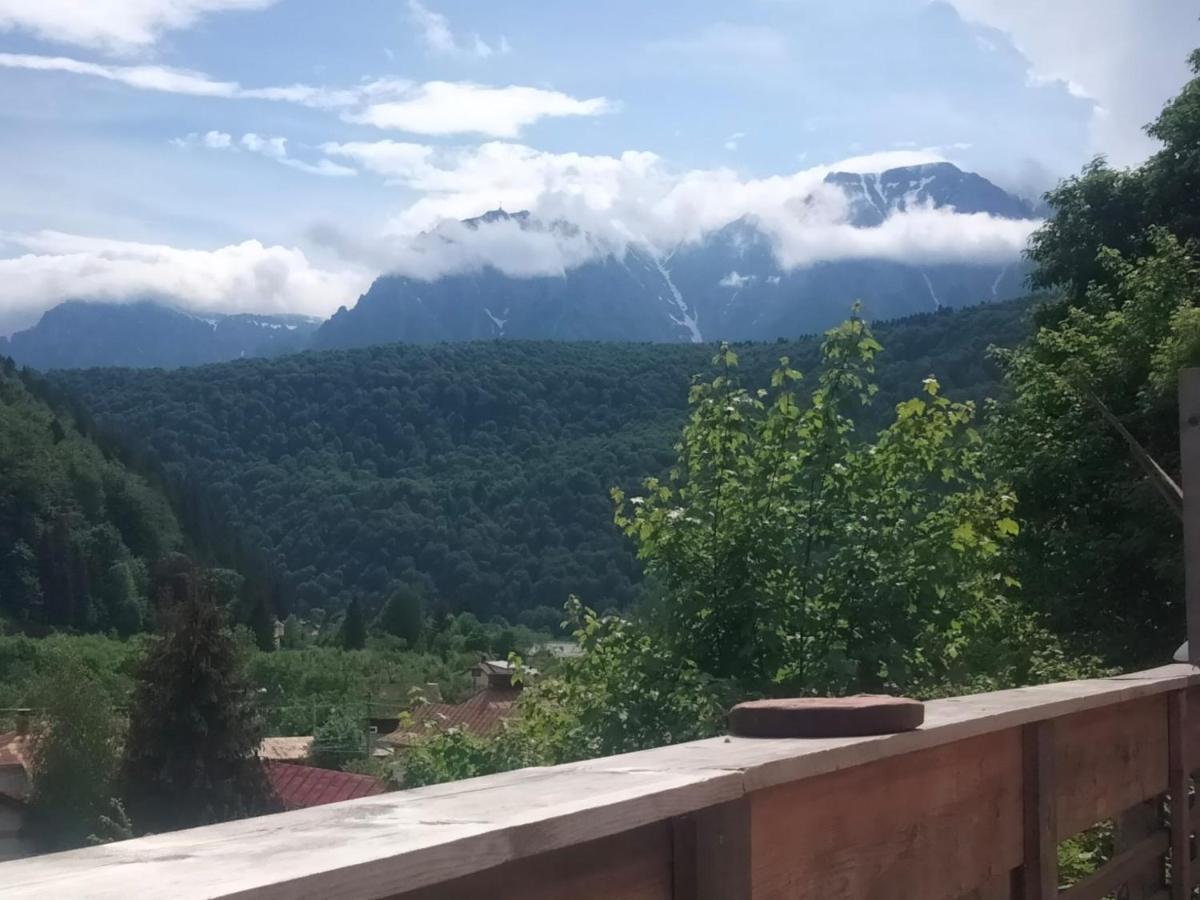 Doi Iepuri Apartamento Azuga Exterior foto